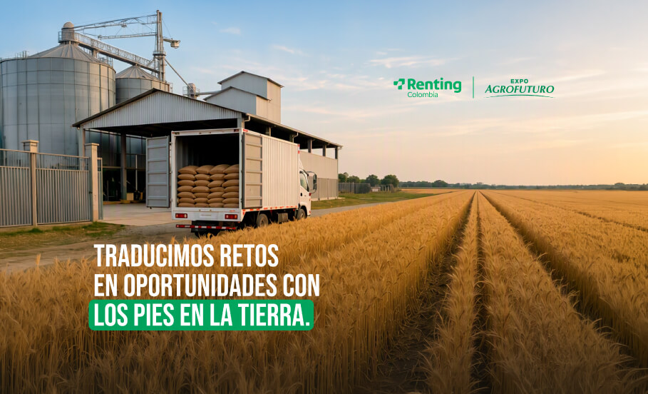 Traducimos retos en oportunidades con los pies en la tierra