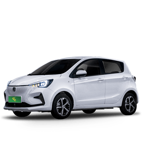 Changan E-Star (1)