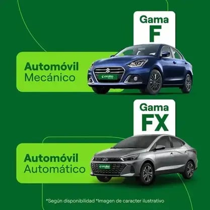 gamas -f-fx
