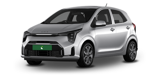 thumbnail_kia picanto